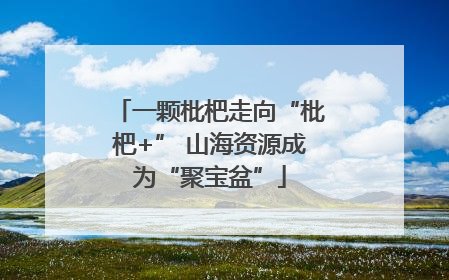 一颗枇杷走向“枇杷+” 山海资源成为“聚宝盆”