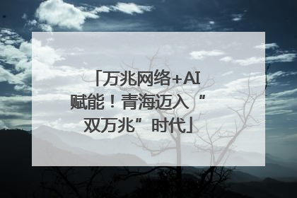 万兆网络+AI赋能！青海迈入“双万兆”时代