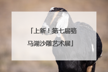 上新！第七届骆马湖沙雕艺术展