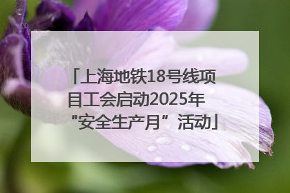 上海地铁18号线项目工会启动2025年“安全生产月”活动