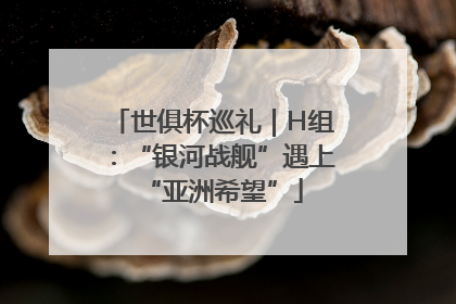 世俱杯巡礼｜H组：“银河战舰”遇上“亚洲希望”