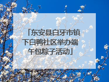 东安县白牙市镇下白鸭社区举办端午包粽子活动