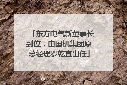 东方电气新董事长到位，由国机集团原总经理罗乾宜出任