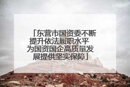 东营市国资委不断提升依法履职水平 为国资国企高质量发展提供坚实保障
