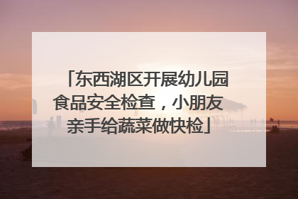 东西湖区开展幼儿园食品安全检查，小朋友亲手给蔬菜做快检