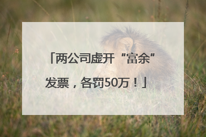 两公司虚开“富余”发票，各罚50万！