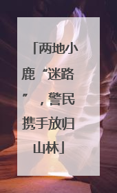 两地小鹿“迷路”，警民携手放归山林