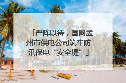 严阵以待，国网孟州市供电公司筑牢防汛保电“安全堤”