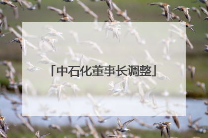 中石化董事长调整