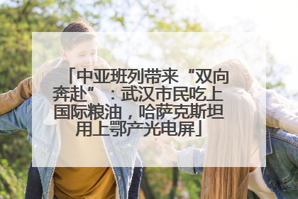 中亚班列带来“双向奔赴”：武汉市民吃上国际粮油，哈萨克斯坦用上鄂产光电屏