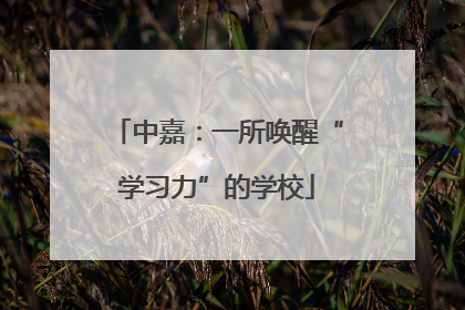 中嘉：一所唤醒“学习力”的学校