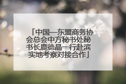中国—东盟商务协会总会中方秘书处秘书长鹿德晶一行赴滨实地考察对接合作