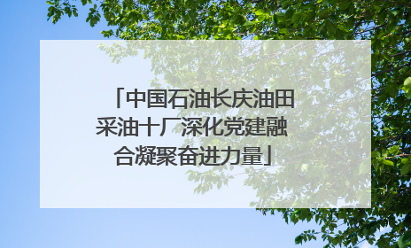 中国石油长庆油田采油十厂深化党建融合凝聚奋进力量