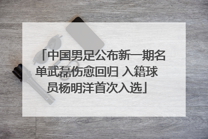 中国男足公布新一期名单武磊伤愈回归 入籍球员杨明洋首次入选