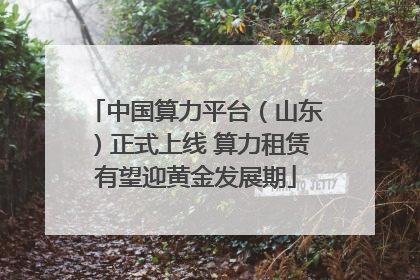 中国算力平台（山东）正式上线 算力租赁有望迎黄金发展期