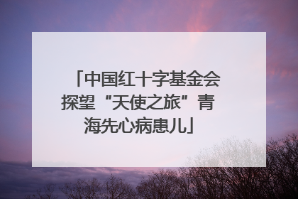 中国红十字基金会探望“天使之旅”青海先心病患儿