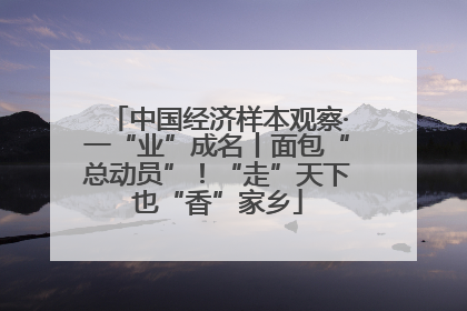 中国经济样本观察·一“业”成名丨面包“总动员”！“走”天下也“香”家乡