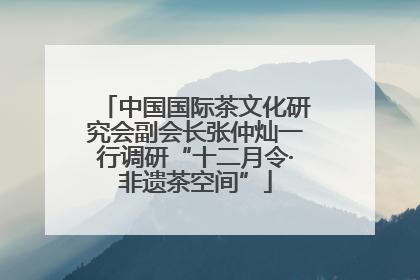 中国国际茶文化研究会副会长张仲灿一行调研“十二月令·非遗茶空间”