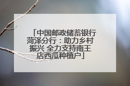 中国邮政储蓄银行菏泽分行：助力乡村振兴 全力支持南王店西瓜种植户