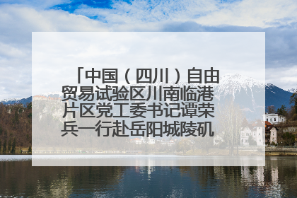 中国（四川）自由贸易试验区川南临港片区党工委书记谭荣兵一行赴岳阳城陵矶综保区考察