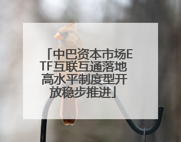 中巴资本市场ETF互联互通落地 高水平制度型开放稳步推进