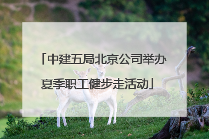 中建五局北京公司举办夏季职工健步走活动