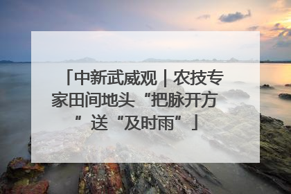 中新武威观｜农技专家田间地头“把脉开方”送“及时雨”