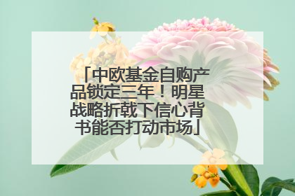 中欧基金自购产品锁定三年！明星战略折戟下信心背书能否打动市场