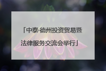 中泰·德州投资贸易暨法律服务交流会举行