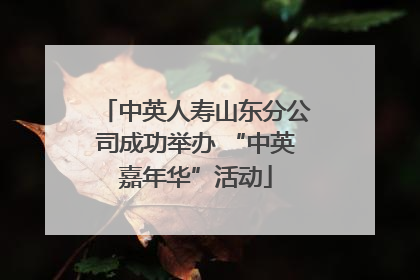 中英人寿山东分公司成功举办 “中英嘉年华”活动