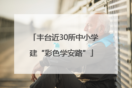 丰台近30所中小学建“彩色学安路”