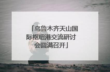 乌鲁木齐天山国际枢纽港交流研讨会圆满召开
