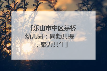 乐山市中区茅桥幼儿园：同频共振，聚力共生