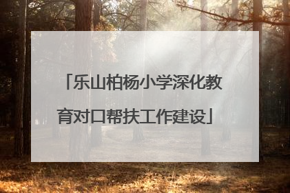 乐山柏杨小学深化教育对口帮扶工作建设