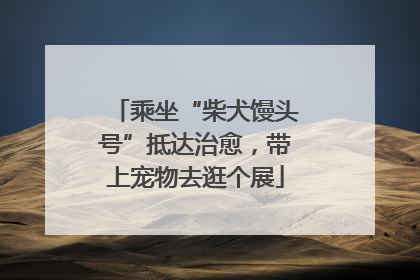乘坐“柴犬馒头号”抵达治愈，带上宠物去逛个展