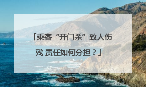 乘客“开门杀”致人伤残 责任如何分担？
