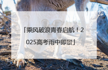 乘风破浪青春启航！2025高考雨中即景