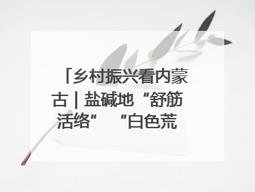 乡村振兴看内蒙古｜盐碱地“舒筋活络” “白色荒漠”长出吨粮田