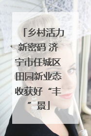 乡村活力新密码 济宁市任城区田园新业态收获好“丰”景