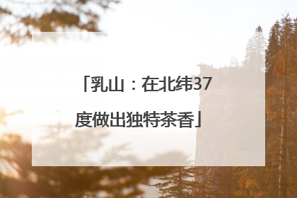 乳山：在北纬37度做出独特茶香