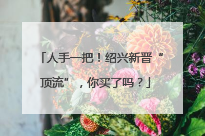 人手一把！绍兴新晋“顶流”，你买了吗？