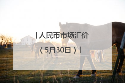 人民币市场汇价（5月30日）