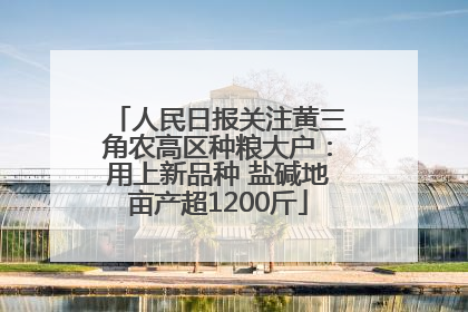 人民日报关注黄三角农高区种粮大户：用上新品种 盐碱地亩产超1200斤