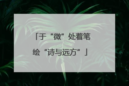 于“微”处着笔 绘“诗与远方”