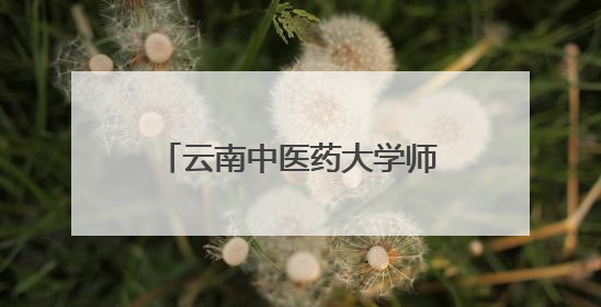 云南中医药大学师生走进西冲小学 播撒中医药文化种子