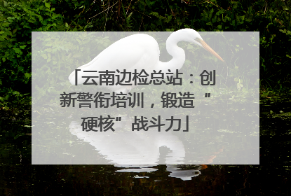 云南边检总站：创新警衔培训，锻造“硬核”战斗力