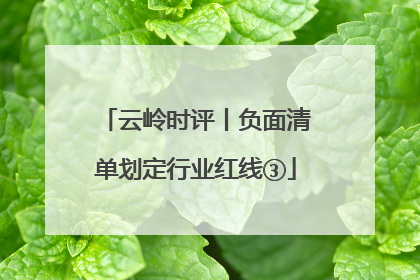 云岭时评丨负面清单划定行业红线③
