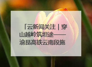 云新闻关注｜穿山越岭筑坦途——渝昆高铁云南段施工现场见闻