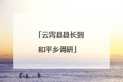 云霄县县长到和平乡调研