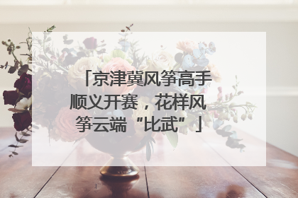 京津冀风筝高手顺义开赛，花样风筝云端“比武”